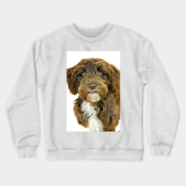 Posey Rosie Crewneck Sweatshirt by Ladymoose